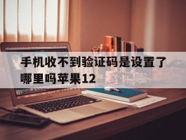 手机收不到验证码是设置了哪里吗苹果12的简单介绍