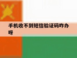 手机收不到短信验证码咋办呀