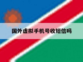 国外虚拟手机号收短信吗