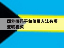 国外接码平台使用方法有哪些呢视频