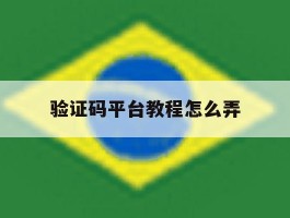 验证码平台教程怎么弄