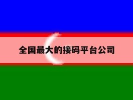 全国最大的接码平台公司