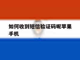 如何收到短信验证码呢苹果手机
