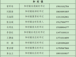临时手机号简称是什么号码啊