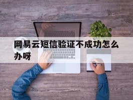 网易云短信验证不成功怎么办呀