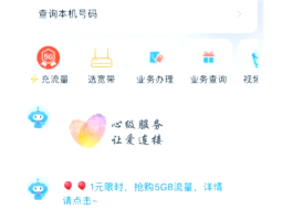国外手机短信验证码接收