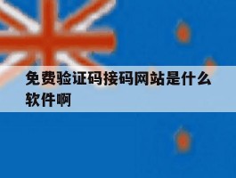 免费验证码接码网站是什么软件啊