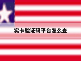 实卡验证码平台怎么查
