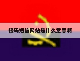 接码短信网站是什么意思啊