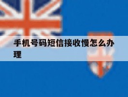 手机号码短信接收慢怎么办理