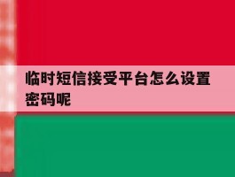临时短信接受平台怎么设置密码呢