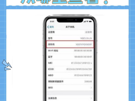 虚拟手机号怎么弄?