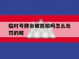 临时号牌会被抓拍吗怎么处罚的呢