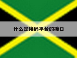 什么是接码平台的接口