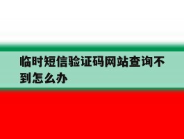 临时短信验证码网站查询不到怎么办