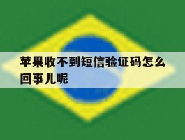 苹果收不到短信验证码怎么回事儿呢
