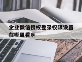 企业微信授权登录权限设置在哪里看啊的简单介绍