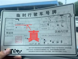 临时号牌怎么查违章?