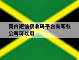 国内短信接收码平台有哪些公司可以用
