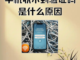 网站短信验证码收不到怎么办