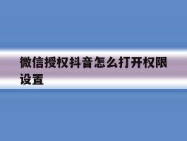 微信授权抖音怎么打开权限设置