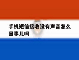 手机短信接收没有声音怎么回事儿啊