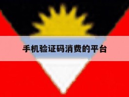 手机验证码消费的平台