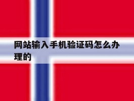 网站输入手机验证码怎么办理的
