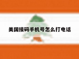 美国接码手机号怎么打电话