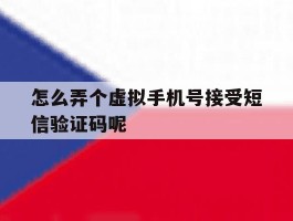 怎么弄个虚拟手机号接受短信验证码呢