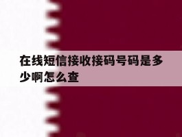 在线短信接收接码号码是多少啊怎么查
