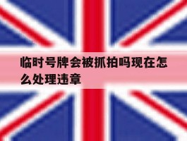 临时号牌会被抓拍吗现在怎么处理违章