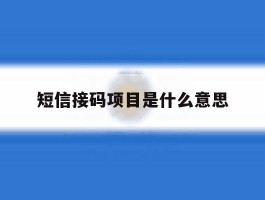短信接码项目是什么意思