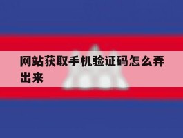 网站获取手机验证码怎么弄出来