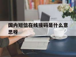 国内短信在线接码是什么意思呀