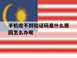 手机收不到验证码是什么原因怎么办呢