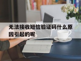 包含无法接收短信验证码什么原因引起的呢的词条