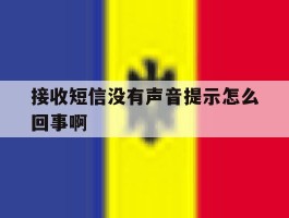 接收短信没有声音提示怎么回事啊