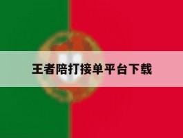 王者陪打接单平台下载