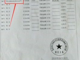 包含临时号牌违章了怎么办啊怎么处理啊的词条