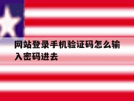 网站登录手机验证码怎么输入密码进去