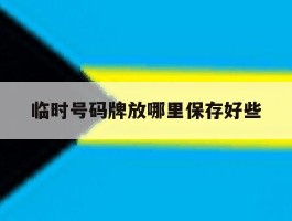 临时号码牌放哪里保存好些