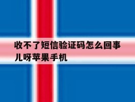 收不了短信验证码怎么回事儿呀苹果手机