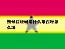 账号验证码是什么东西呀怎么填