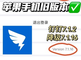 临时手机号app下载苹果版安装教程