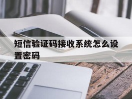 短信验证码接收系统怎么设置密码