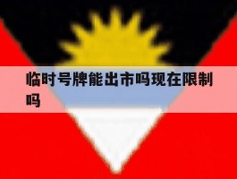 临时号牌能出市吗现在限制吗