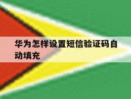 华为怎样设置短信验证码自动填充