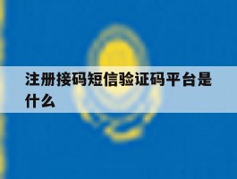 注册接码短信验证码平台是什么