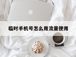 临时手机号怎么用流量使用